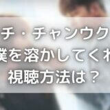 僕を溶かしてくれはネットフリックスで配信？動画を日本語字幕で見る方法
