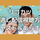 リコカツの見逃し動画配信を無料で視聴できるのは?あらすじも紹介!