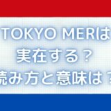 東京MERとは?実在する?エムイーアールの医療は本当にあるの?