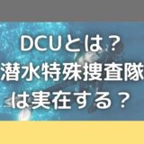 DCUは実在する?海猿と似てる?潜水特殊捜査隊は海上保安庁にある?