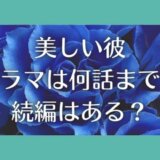 美しい彼ドラマは全何話まで?再放送や続編・映画化の可能性はある?