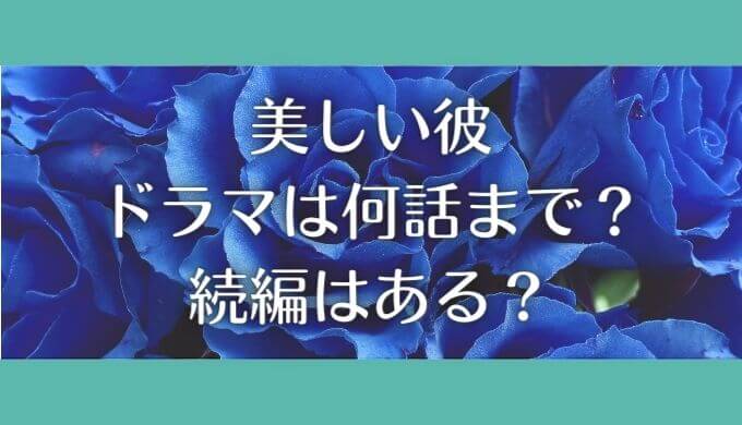 美しい彼は何話まで？ドラマの再放送や続編・映画化の可能性はある？