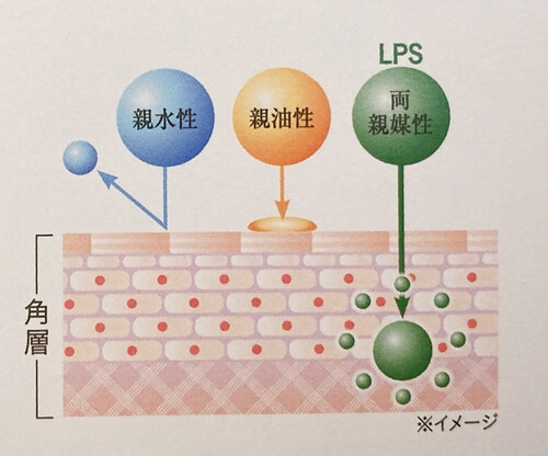 イミニリペアセラムの肌への浸透力